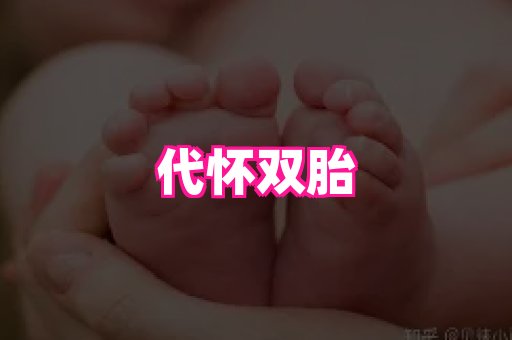 东莞助孕网站 1