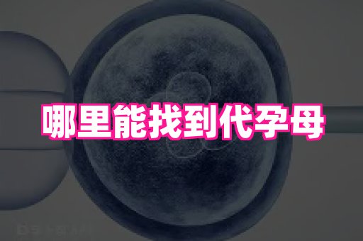 东莞助孕网站 4